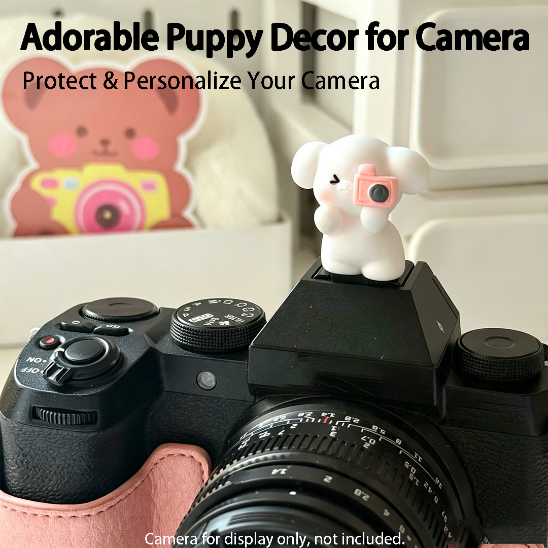 Carino Copri-Slot per Fotocame - Canon Camera Eos R50 recensione e prezzo